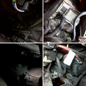 Stripping Teds Red Sled