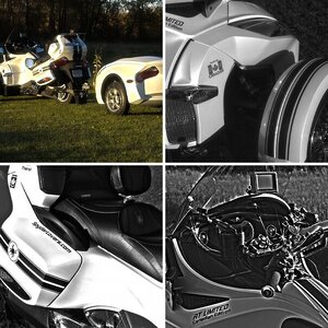 New Photos - Fall 2012