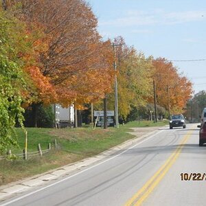 fall colors in ontario canada