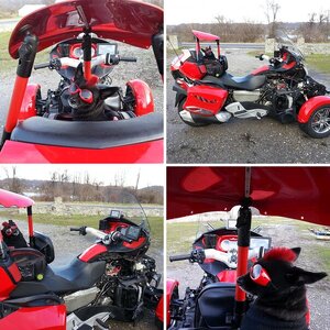 Teds Red Sled Lives Jan2013