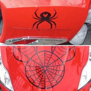 Custom Graphics kit- customer request