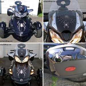 Spyder ST- White Bellerdine Spider