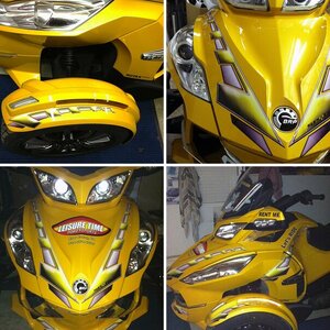 RT Ralley Check- Yellow