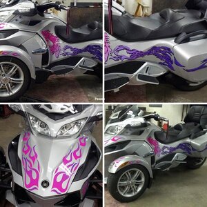 Dragon RT Pink/Purple fade