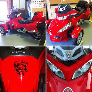 toms first album  my RT