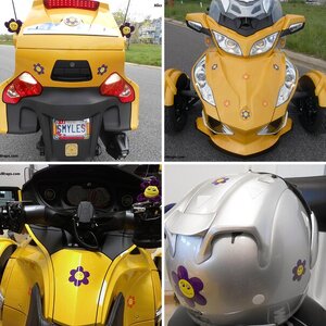 Happy Face Flowers for Spyder RT