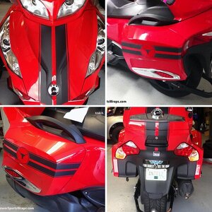 RT-GT Racing Stripes- 3M Carbon Fiber