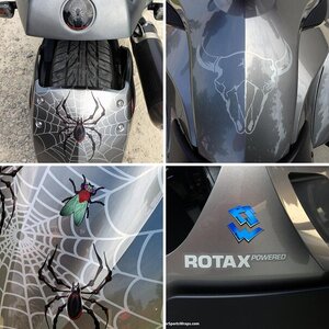 RS: Web, Spider, Fly