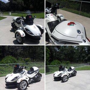 Pearl with new Corbin smuggler