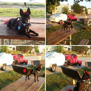 Getting Camper ready for SpyderQuest 2013 trip