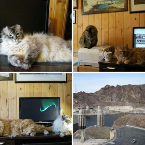 2013--Maui Hawaii/ 2012 Valley of Fire Nevada