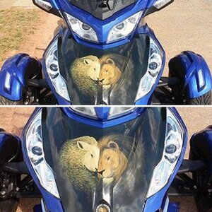 Custom Frunk wrap- Lamb - Lion