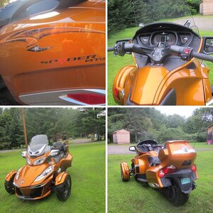 Deanna's 14RT Cognac