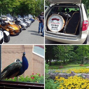 MN Spyderlovers - 8-31-14 New Ulm, MN Ride