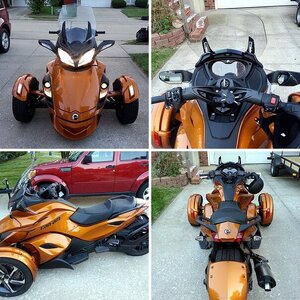 A Spyder named "Keira"