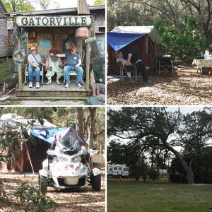 daytona & spyders on the bayou