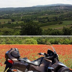 Lubéron Sud de France