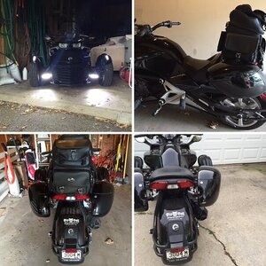 Toothless (the Night Fury)