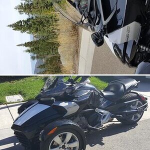 I call her Beauty....