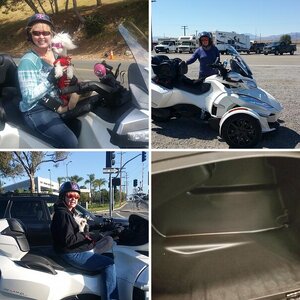 2106 RTS The Beginning