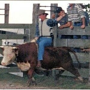 Other things i have ridden ......