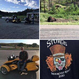 Sturgis 2020