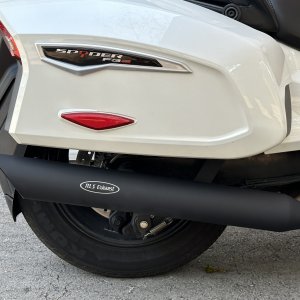 RLS Exhaust Punisher Series