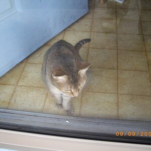 Pixel sees a Spyder.