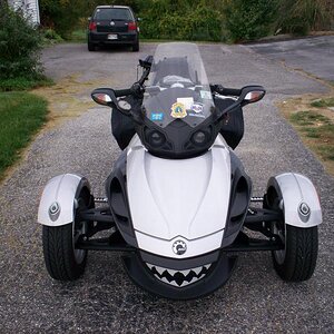 looks hungry but won't bite