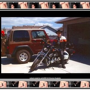 harley charley v rod