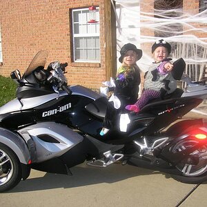 Mommy Spyder with her 2 babies