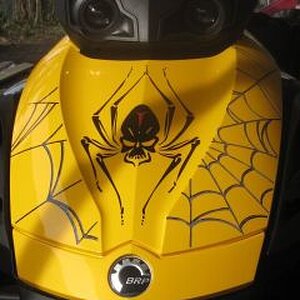 FRONT TRUNCK HATCH - Graphic Kit 1 - www.autotrimdesign.com