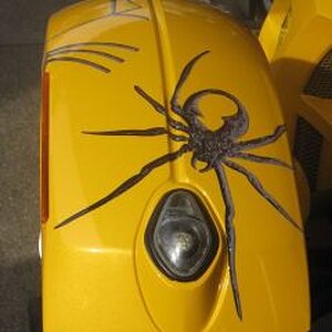 FRONT RIGHT FENDER - Graphic Kit 1 - www.autotrimdesign.com