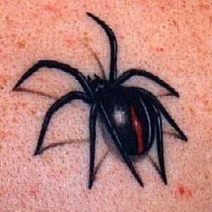 3d spider tattoo