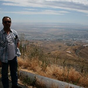 Babymoose above Lewiston Idaho