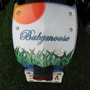 Rear fender with Nickname