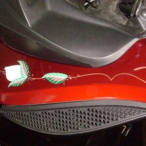 White roses on the side instead of pinstripes