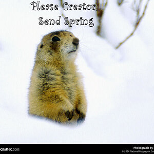 Send Spring Anotated