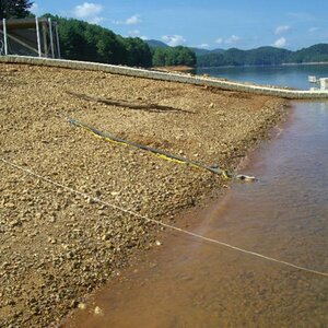 $5000.00 bungee cord