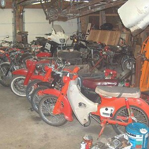 Barn before it filled up