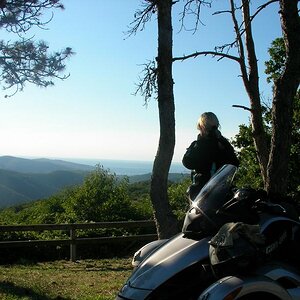 from TRIEST to VENICE