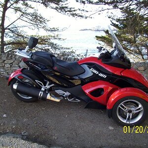 Pacific through the trees, CA Hwy 1