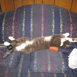 zzzzzzzzzzzzzzzzzzzzzzzzz