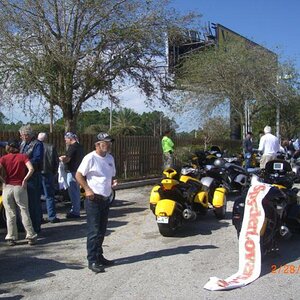 user960 pic1231 1235907018