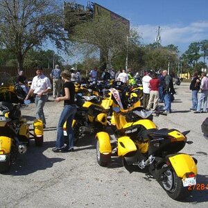 user960 pic1237 1235986680