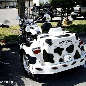 family photos 021 (Small)