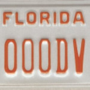 MCDV plate