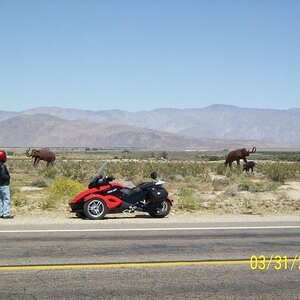 Metal Art, Borrego Springs, CA