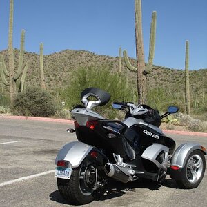 Saguaro Nat. Park, Tucson
