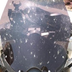 Clearwater to Jax Bugs